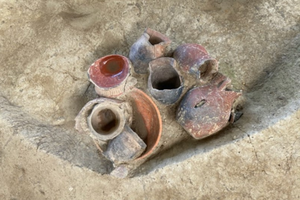 Археологи нашли в Китае одни из древнейших следов употребления пива