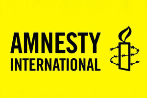В Amnesty International отрицают сбор информации для отчета в оккупации и фильтрационных лагерях