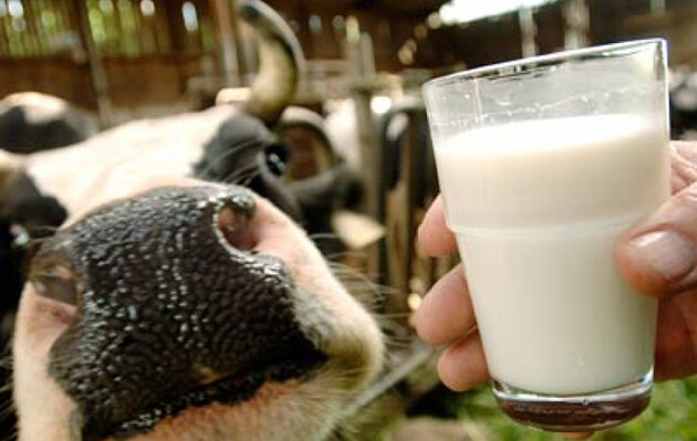 В Украине портится столько молока, что уже начали перерабатывать в биотопливо