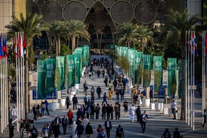 Итоги международной климатической конференции в Дубае