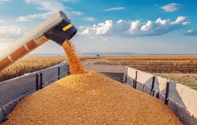Венгрия и соседи требуют от Еврокомиссии ввести импортные пошлины на украинское зерно
