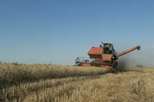 Украина в апреле продала за границу 8,3 млн тонн агропродукции: сколько они заработали