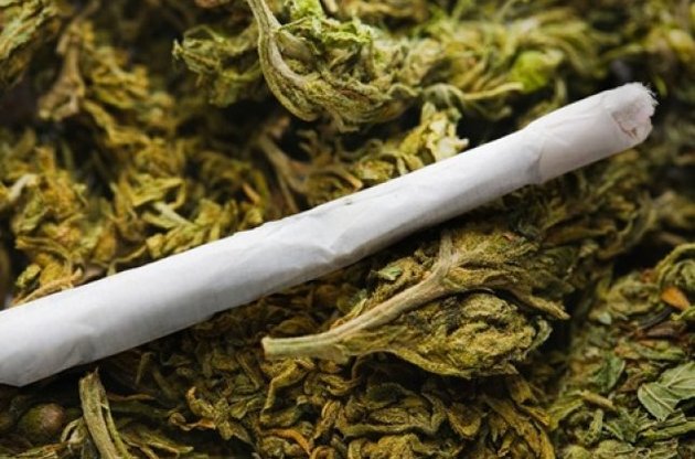 В Чехии разрешили продавать марихуану в аптеках