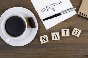 Про Конституцію, НАТО і воєнний стан