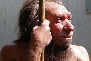 Древняя ДНК помогла узнать о миграциях неандертальцев